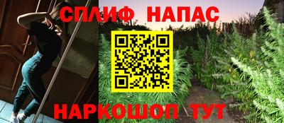 ПСИЛОЦИБИНОВЫЕ ГРИБЫ Чебаркуль