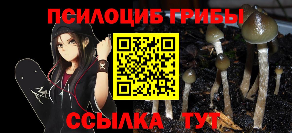 Галлюциногенные грибы Cubensis Мытищи