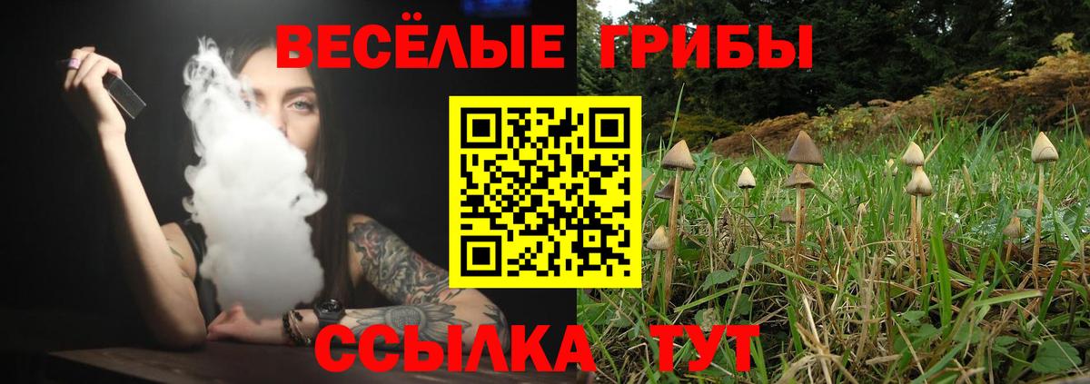 Галлюциногенные грибы мицелий  Псилоцибиновые грибы GOLDEN TEACHER  Вход с VPN  Мытищи 